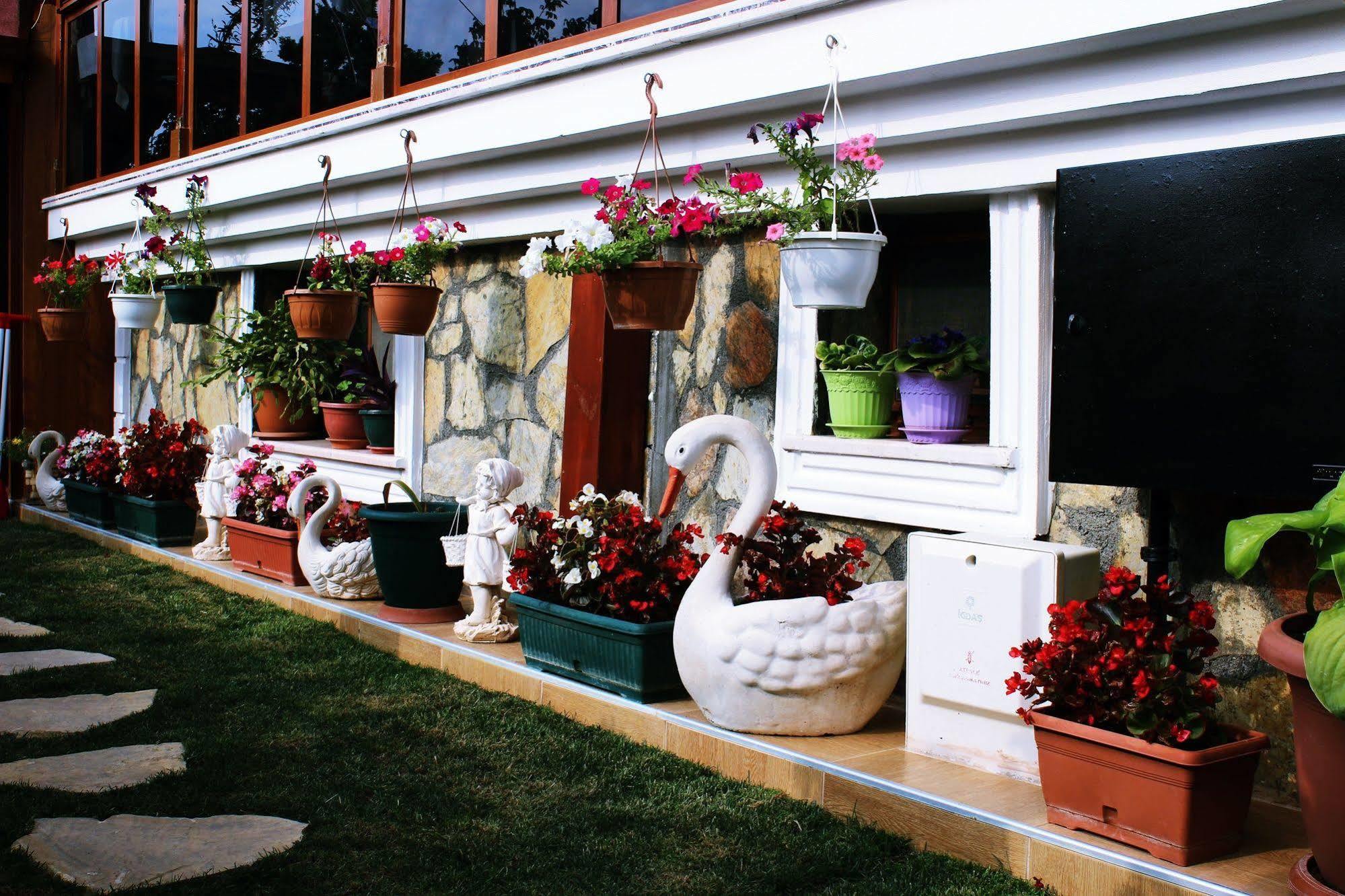 Agva Sahil Yildizi Hotel Exterior photo